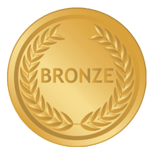 Bronze Full Extended Year Package